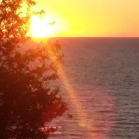 Laguna Jastrzębia Góra エクステリア 写真
